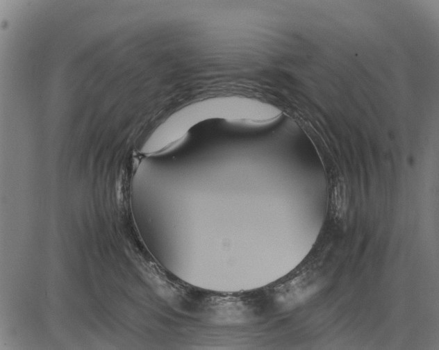 X0000083620424200703121633