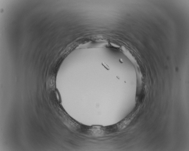 X0000083620425200703121633