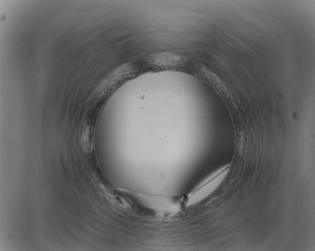 X0000083620428200703121633