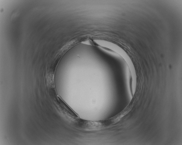 X0000083620429200703121633