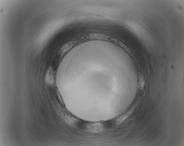 X0000083620431200703121633