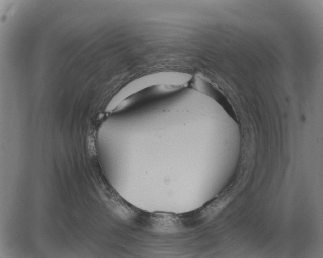 X0000083620432200703121633