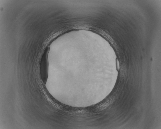 X0000083620433200703121632