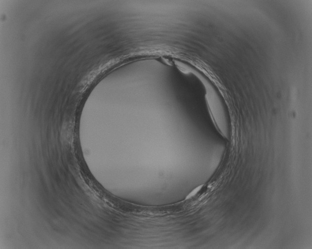 X0000083620434200703121632