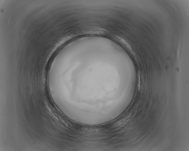 X0000083620435200703121632