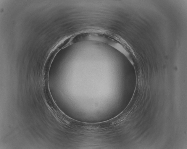 X0000083620436200703121632