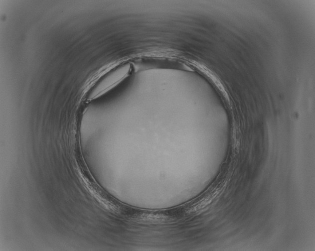 X0000083620437200703121632