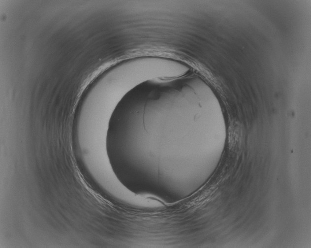 X0000083620438200703121632