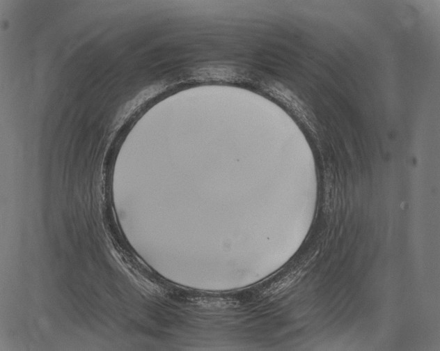 X0000083620439200703121632