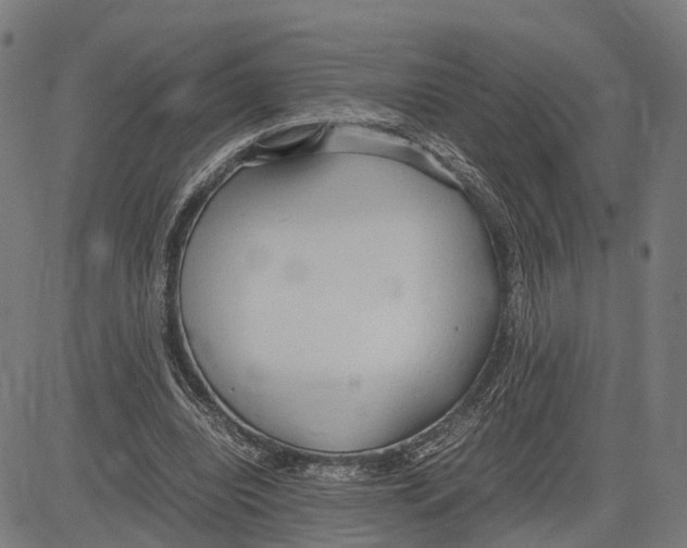 X0000083620440200703121632