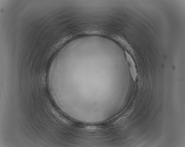 X0000083620441200703121632