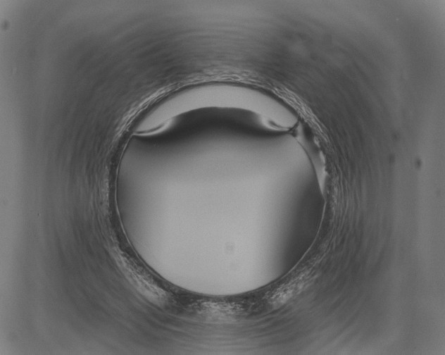 X0000083620442200703121632