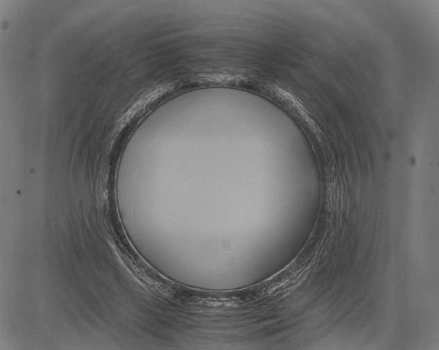 X0000083620443200703121632