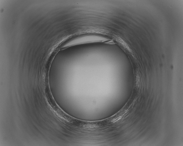 X0000083620444200703121632