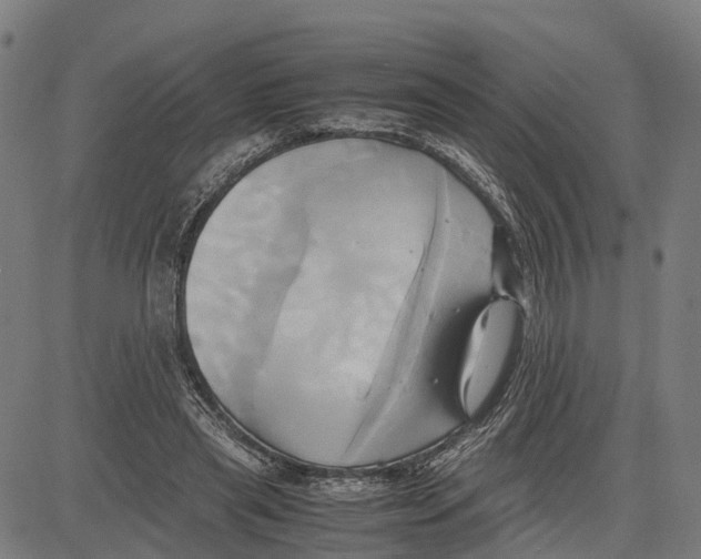 X0000083620445200703121632