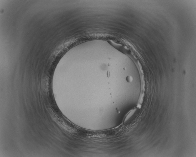 X0000083620447200703121632