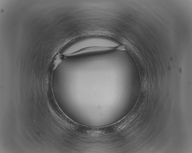 X0000083620448200703121632