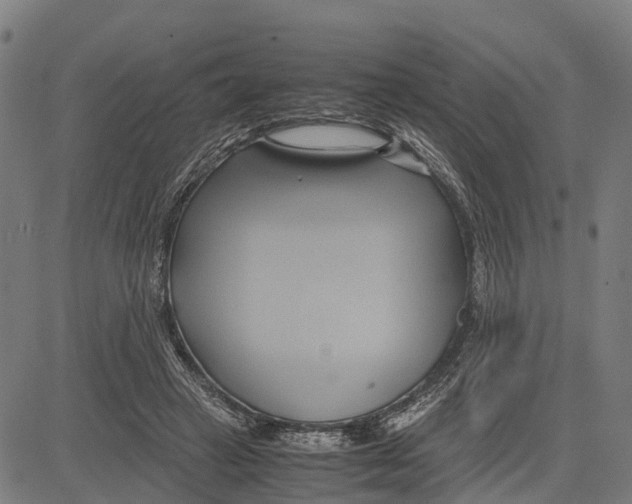 X0000083620449200703121632