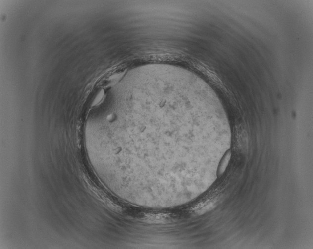 X0000083620450200703121632