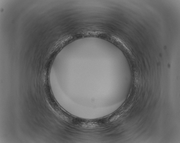 X0000083620451200703121632