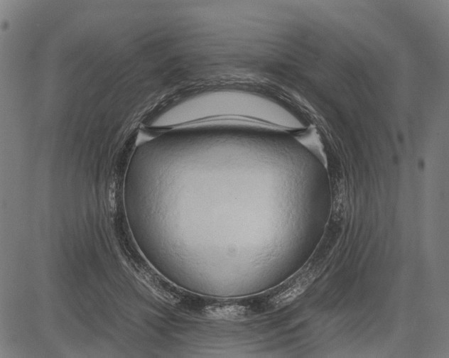 X0000083620452200703121632