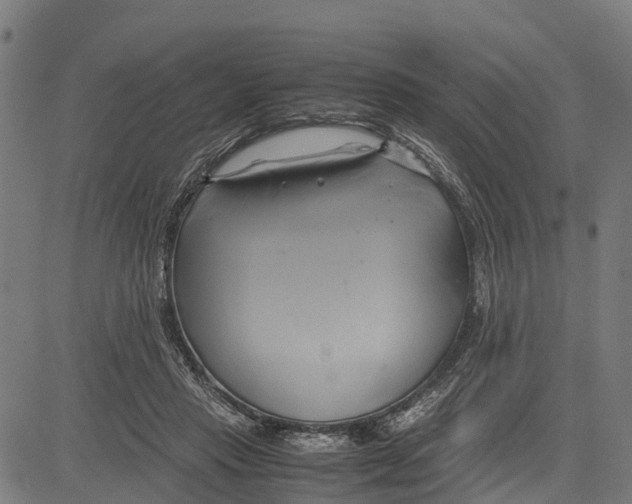 X0000083620453200703121632