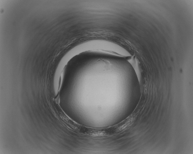 X0000083620456200703121633