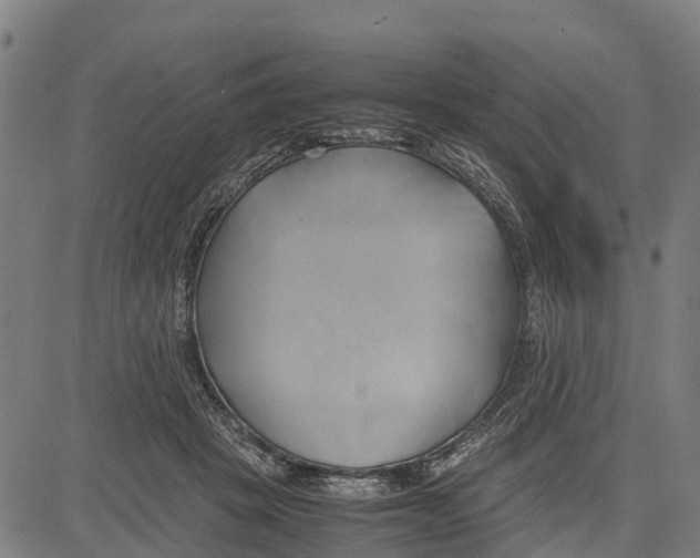 X0000083620457200703121633