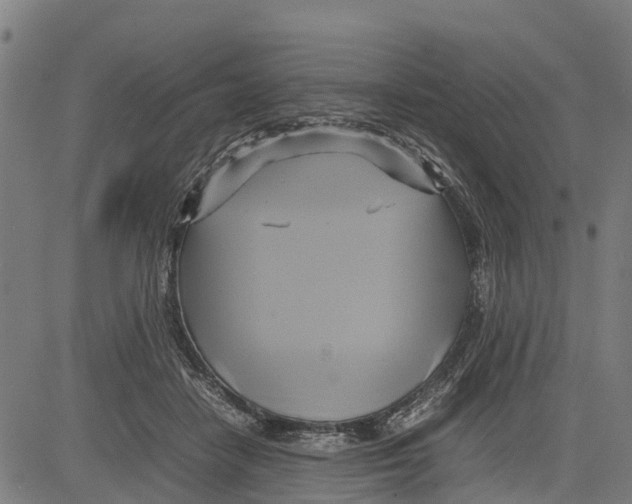 X0000083620458200703121633