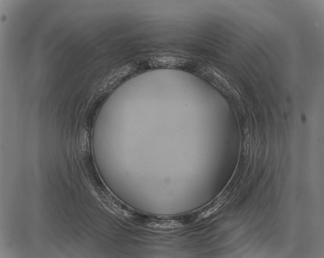 X0000083620459200703121633