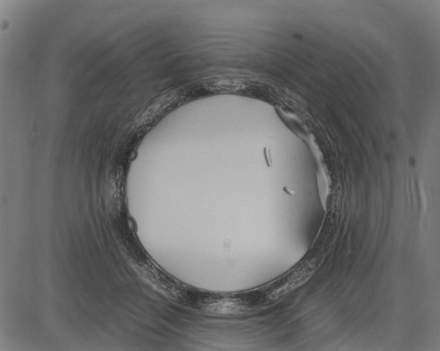 X0000083620460200703121633