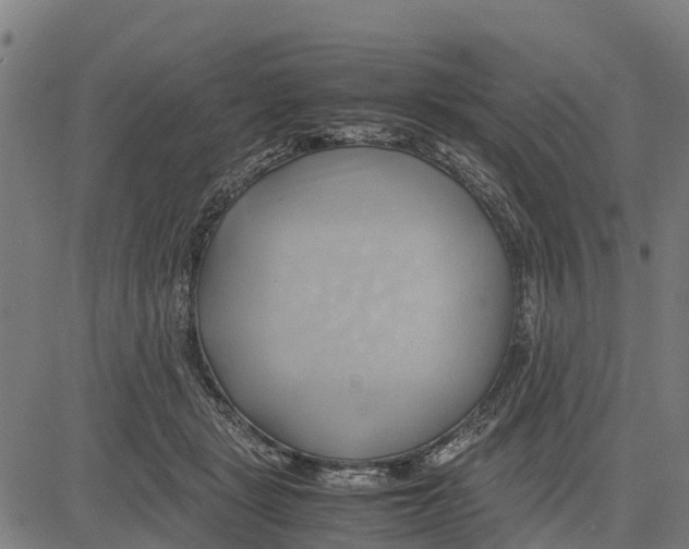 X0000083620461200703121633