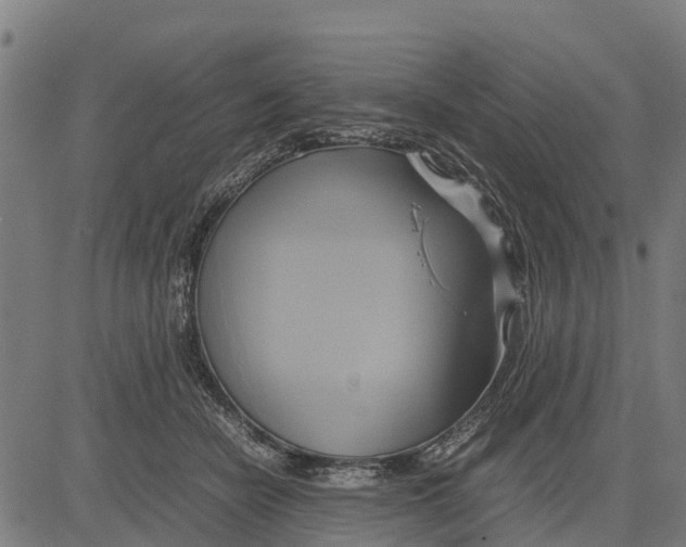 X0000083620462200703121633