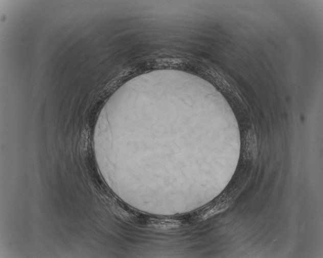 X0000083620463200703121633