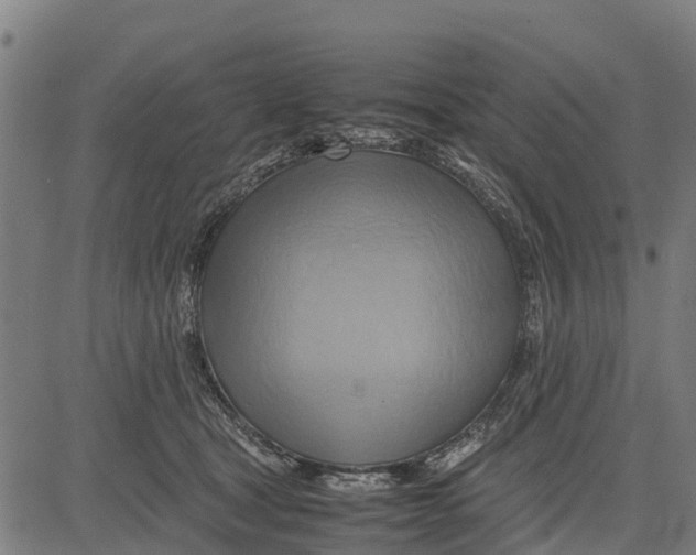 X0000083620465200703121633