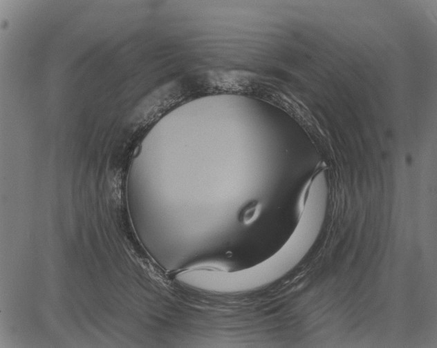 X0000083620466200703121633