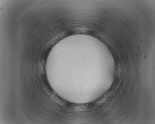 X0000083620468200703121633