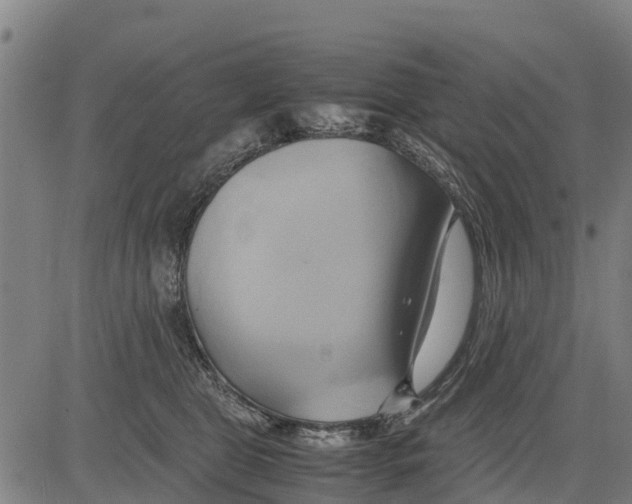 X0000083620469200703121633