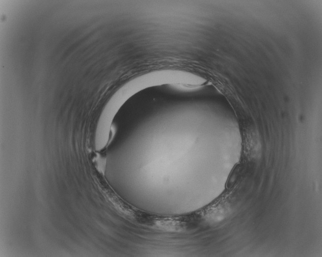 X0000083620470200703121633