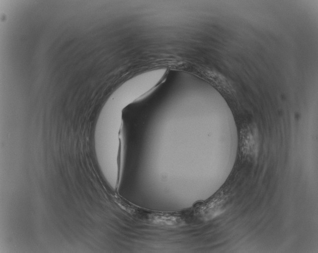 X0000083620471200703121633