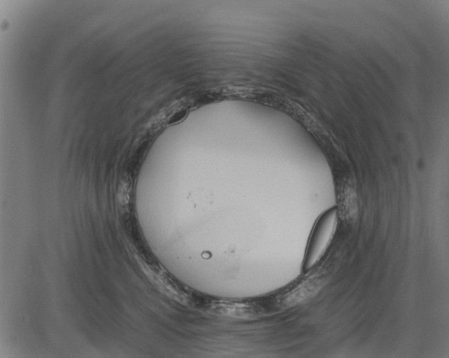 X0000083620472200703121633