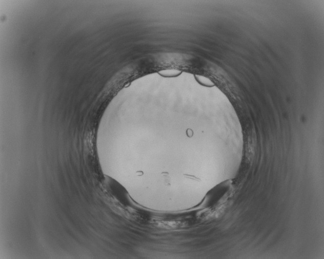 X0000083620473200703121633