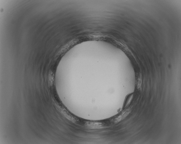 X0000083620476200703121633