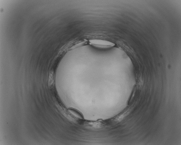 X0000083620478200703121633