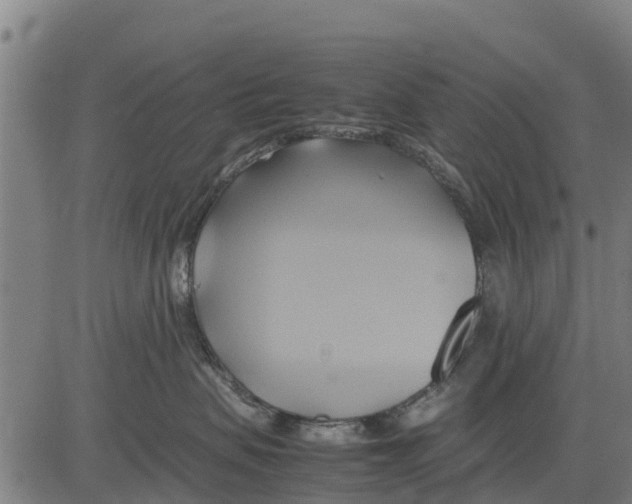 X0000083620479200703121633