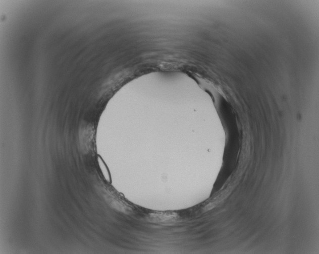 X0000083620480200703121633