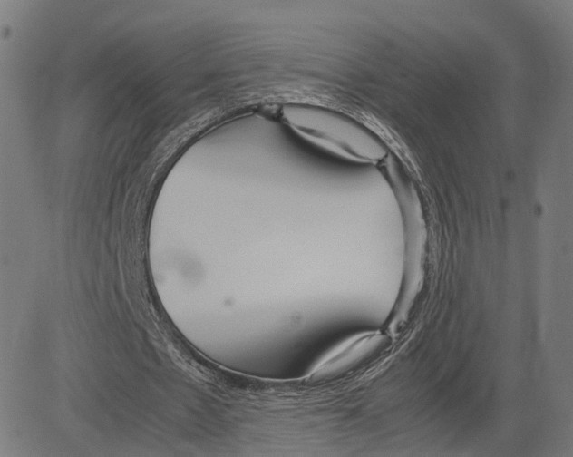 X0000083620481200703121632