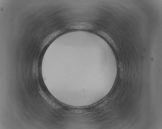 X0000083620482200703121632