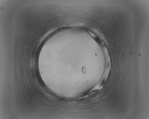 X0000083620483200703121632