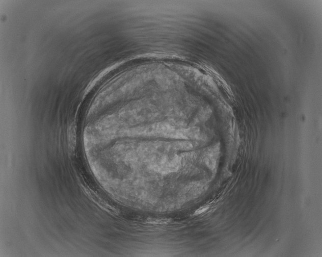 X0000083620484200703121632